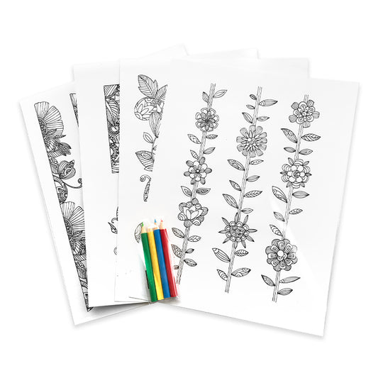 Flowers And Borders Colour In Sticker Bumper Pack