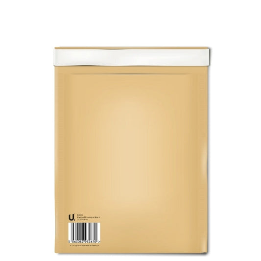 Padded Envelope Office Business School Home Delivery 2 Pack 270mm x 335mm P2220