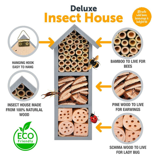 Eco Friendly Deluxe Insect House 1120