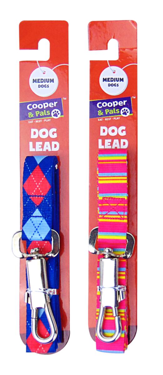 Multicolour Medium Dog Lead 2 Assorted Designs 318829 (Parcel Rate)