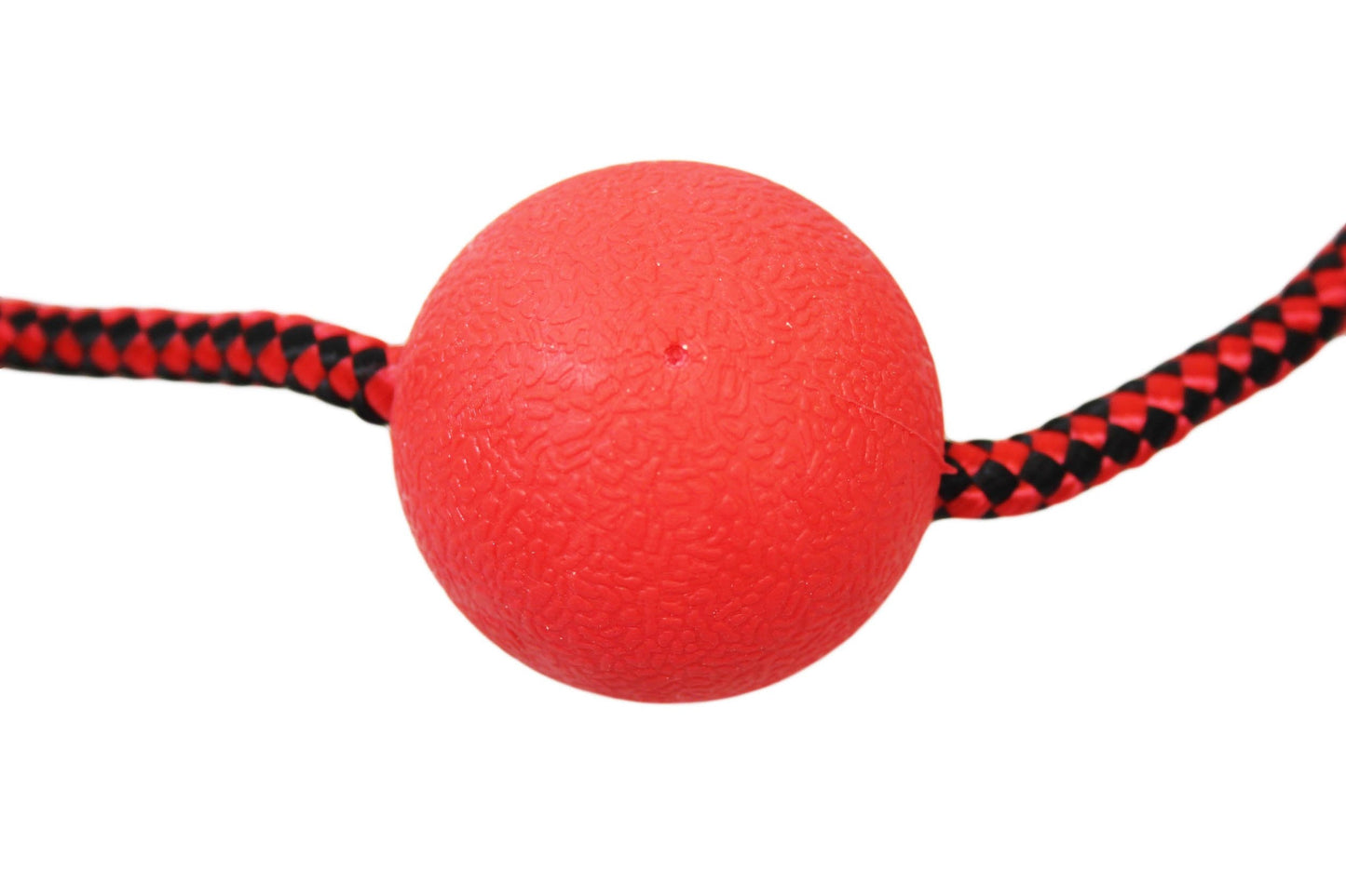 Pets Cats Dogs Fun Chewing Ball and Rope Indoor Outdoor Dog Toy 5cm Ball Rope 32cm 6299 (Parcel Rate)